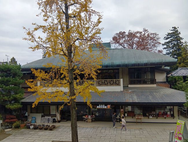 階段を下りると、壮大な瑞雲閣全容が見えます。2層でとても古風のある屋根で素晴らしい景観です。手前のイチョウはだいぶ散ってしまいましたが、イチョウも交えて映すと風情があります。