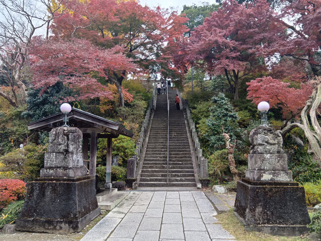 達磨堂があるフロア？に繋がる階段は３つあります。この階段と赤い紅葉の景観も素晴らしいです。