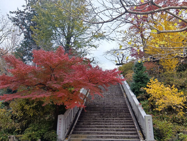 さらに別の階段、瑞雲閣と反対側です。赤、黄色の紅葉がミックスされた光景、美しい景観です。