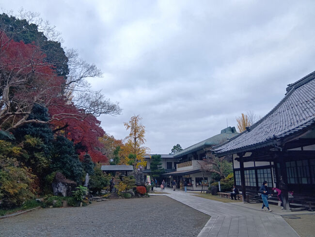 紅葉と大講堂の景観です。