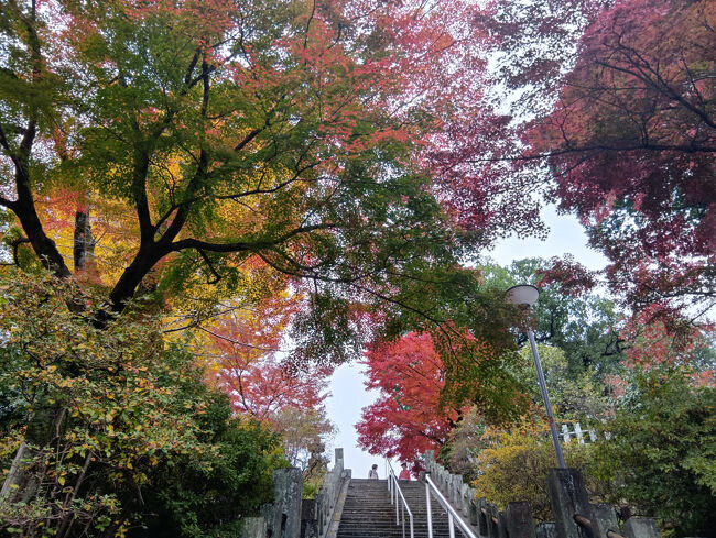 下りは背を向いていて見えませんでしたが、上りは赤い紅葉が混ざっていて素晴らしく美しい階段沿いの光景です。超感動します！