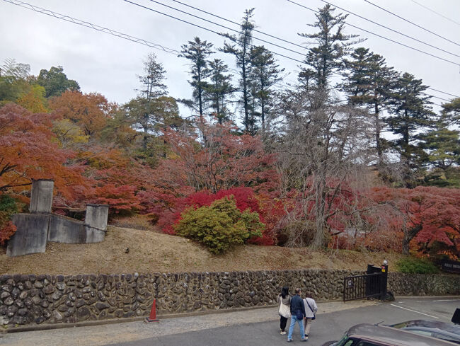 名前の通り観音像が並べられている洞窟と徳明園という美しい庭園です。大正から昭和初期にかけて、山田徳蔵が私財を投げうって群馬の石を使って観音像を造り、余った石を元に庭園が造園されました。寺院に比べると比較的歴史が新しいですね。