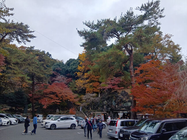 メインの駐車場の周辺からとてつもなく美しい紅葉に超感動します！