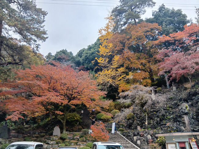まさに絵葉書のような美しい紅葉風景です！まだ園外です！中に入るのが楽しみです！