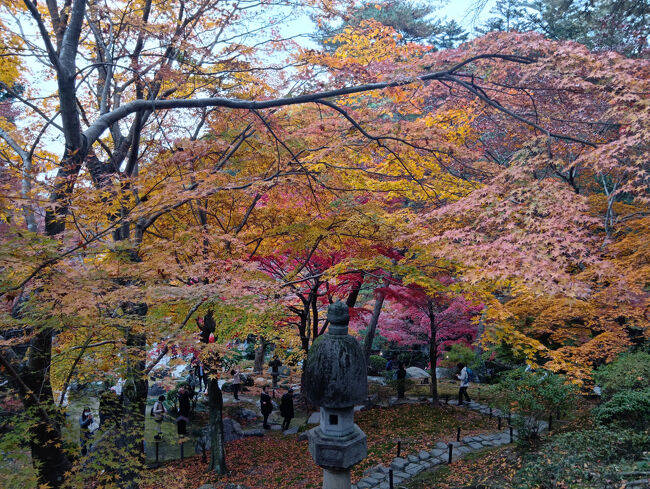 1歩進むごとに様々な美し過ぎる絶景が見られます！