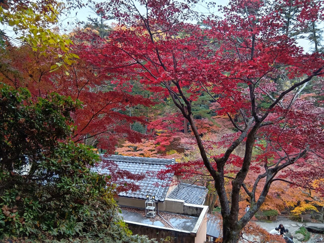 今まで自分は存在を知りませんでしたが、これを見ると群馬県では有数の紅葉の名所ですね！