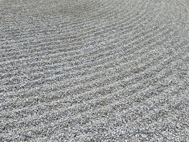 見事な美しい縞模様です！