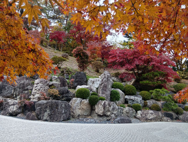 今度はオレンジ色が主流の位置に立ちます。これも絵葉書にも使われるような美しい紅葉と積み立て石のコラボです！