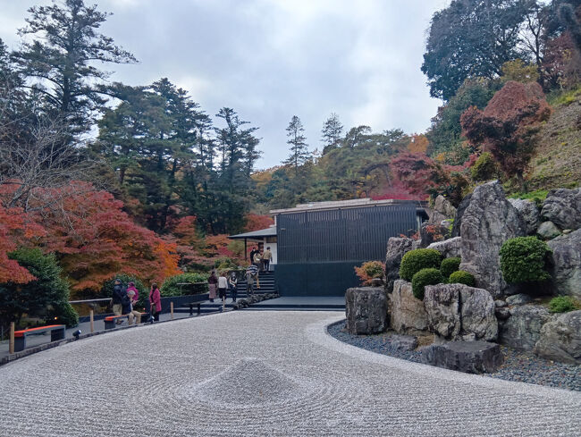 端まで移動して振り返ります。左側の池泉庭園の赤い紅葉と枯山水の庭園のコラボ、実に美しい光景です！