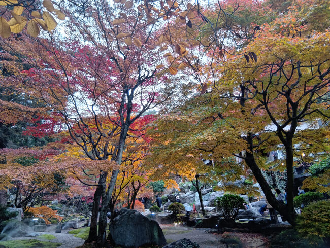池を挟んで山田徳蔵記念館の反対側に行きます。またまた絶句するほど美しい紅葉と紅葉越しの池の光景は実に素晴らしいです！