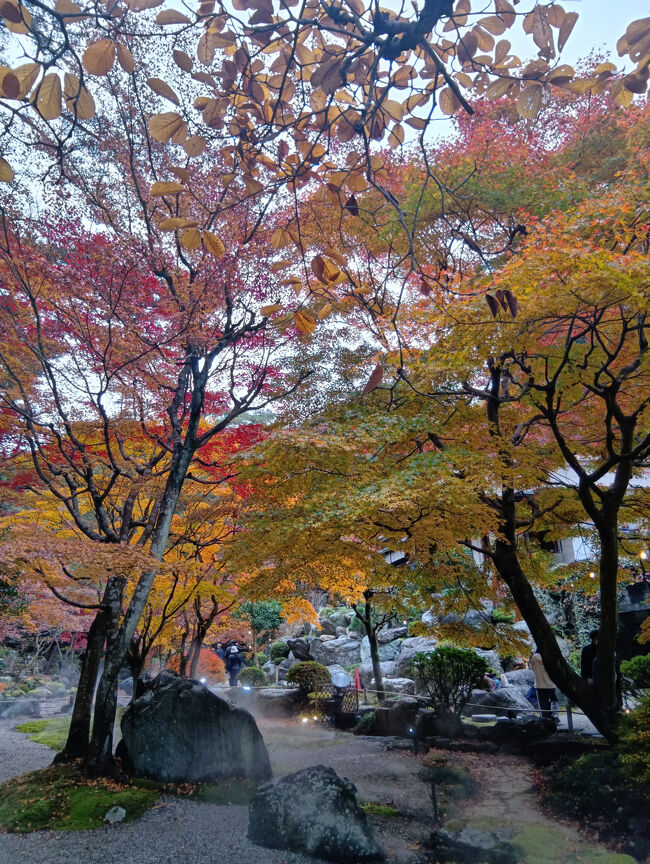 パンフレットを見ると、池の名前は浦島の池のようです。それにしても群馬にこれほど美しい紅葉の庭園があるとはビックリ仰天です！