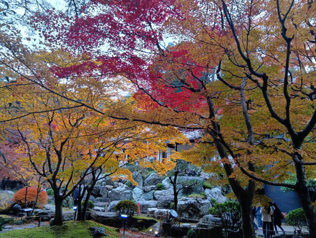 まるで絵の世界のような紅葉とバックの庭園の池、石です！まさに絶景です！