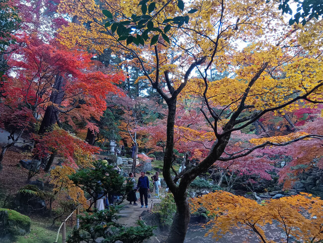 とても庭園の紅葉とは思えない豪華で美しい色とりどりの紅葉です！