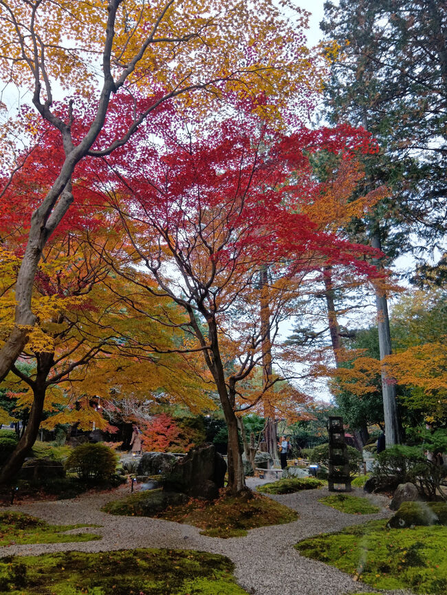 これも絶句するほど美しい紅葉、庭園の景観！まさに絵葉書に使われるような絶景です！