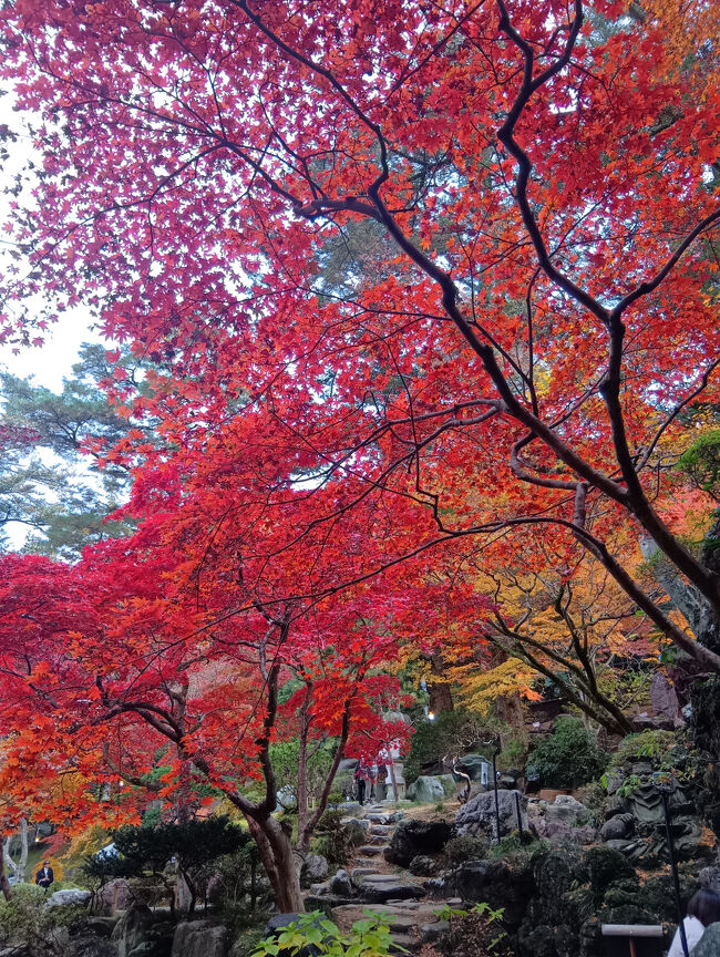 まるで夢の世界のような実に美しい紅葉風景！何の言葉も出ません！想像以上です！