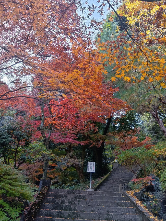 洞窟・庭園入口とはだいぶ離れています。洞窟が長いことがわかります。そして洞窟出口周辺もご覧のように美しい紅葉が広がっています。