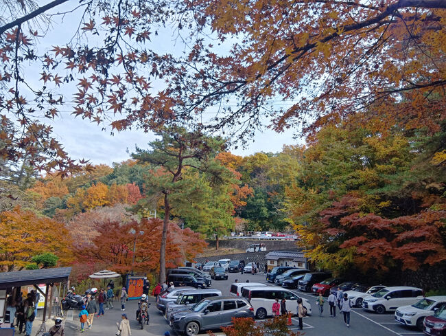 階段を下りると洞窟、庭園の入口が離れて見えます。バックに広がる4色もの紅葉が艶やかで絶句するほど美しいです！