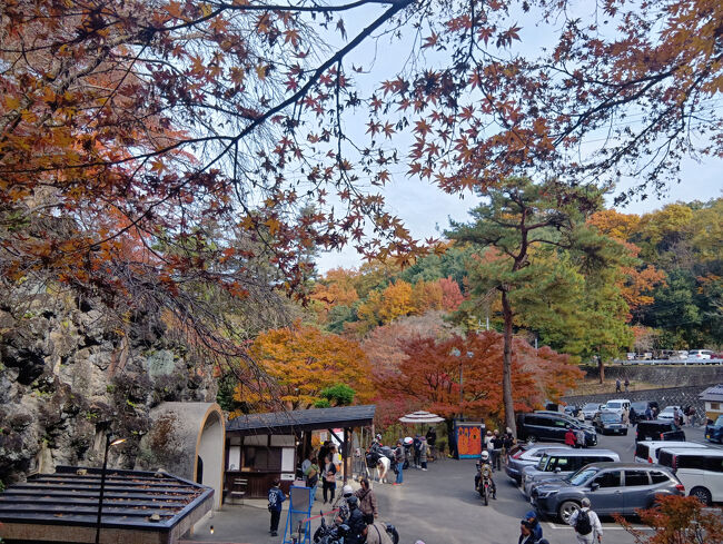 まさに絵葉書にも使われるような美しい紅葉の絶景！驚嘆します！