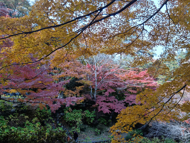 12時半過ぎ、洞窟観音・徳明園を出発します。約1時間半の大変中身の濃い素晴らしい観光地でした。