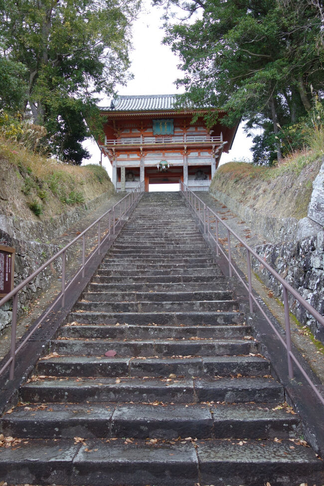 あんちんを左手に見て真っ直ぐに進むと、高台への階段の上に建つ仁王門が見えてきます。この階段は、道成寺七不思議の一つで階段横の土手が上下で広さが違うそうです。真っ直ぐに見えるのですが、実は上段側が広く、下段側が狭く設計されています。