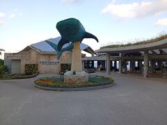 美ら海水族館

開園前なので人が映らず撮影