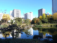 庭や池の向こうに、ビルの間から東京スカイツリーが見えました。