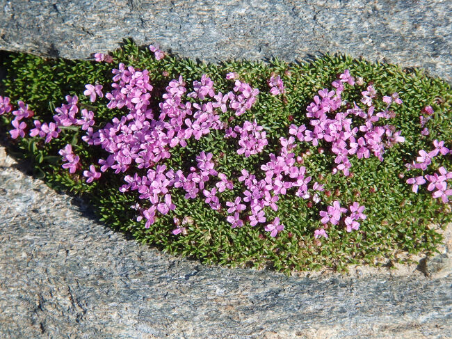 ローテンボーデンへのハイキング