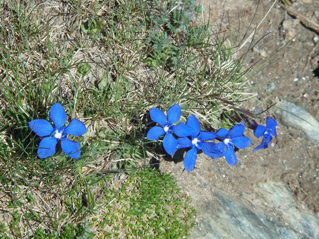 ローテンボーデンへのハイキング