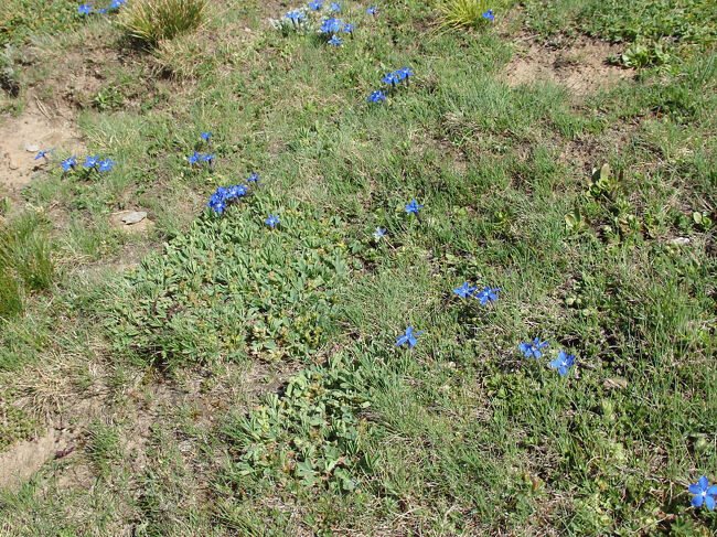 ローテンボーデンへのハイキング