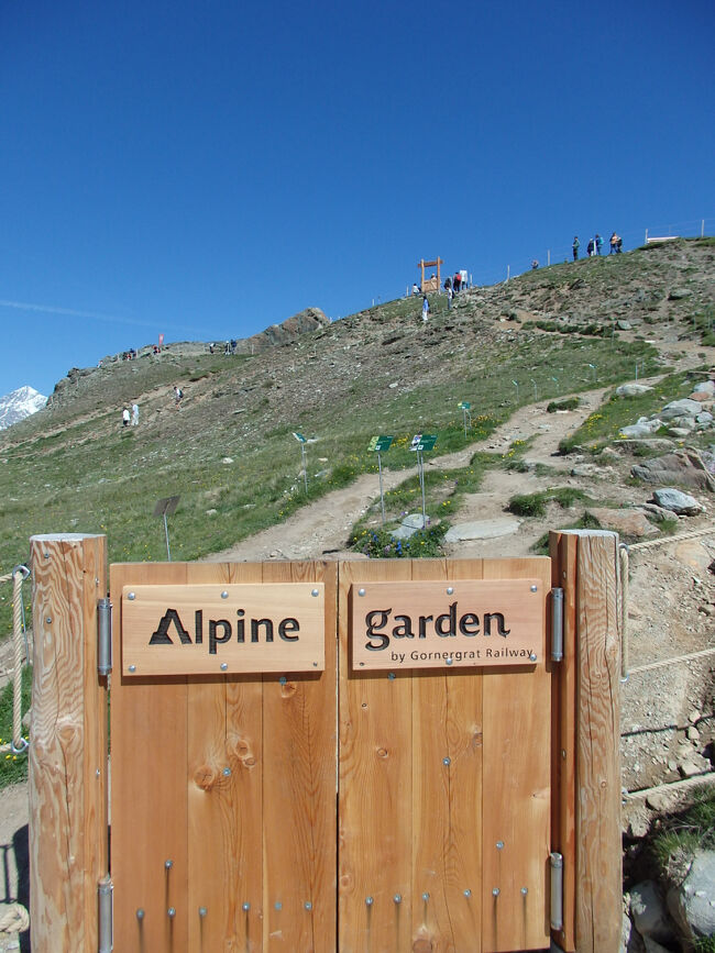 ローテンボーデンへのハイキング<br /><br />この奥はアルペン植物園