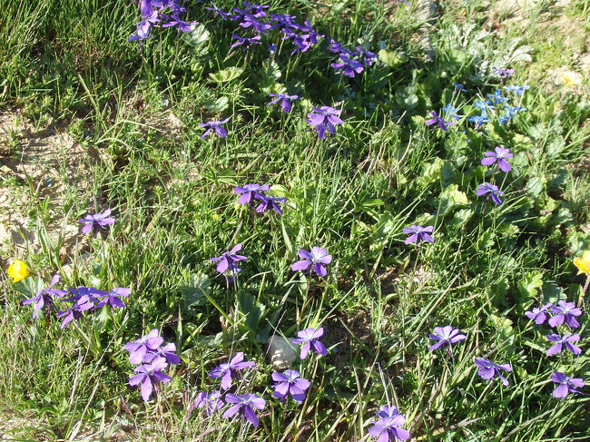 ローテンボーデンへのハイキング
