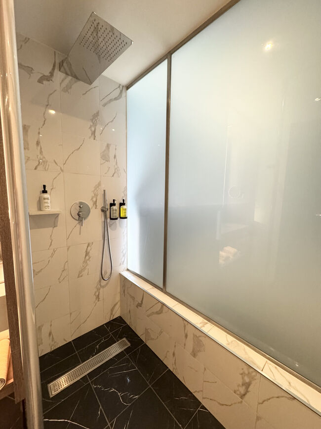 シャワーのみで湯船なし