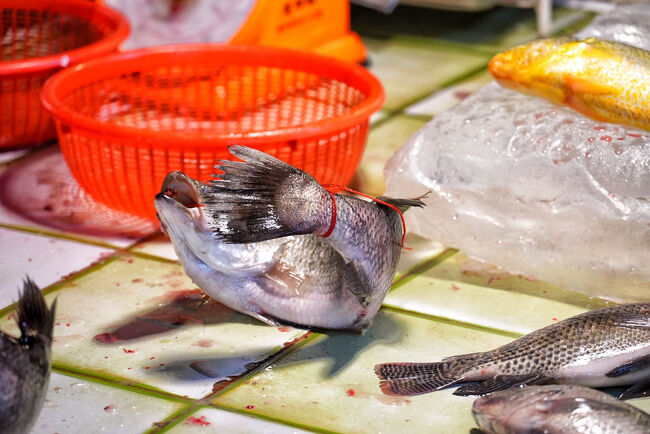 魚の結び方よ<br /><br />楽しかったー(*^^*)