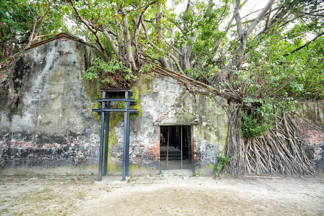 もともとは、イギリス商社や日本企業・大日本塩業の倉庫として使われていた建物が<br />長い年月のあいだ放置され<br />そのあいだにガジュマルの木が壁や屋根を貫いて成長した場所だそうです<br />