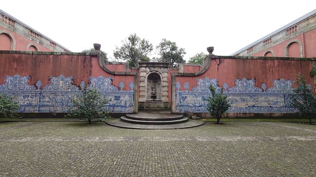 庭に降りてきました