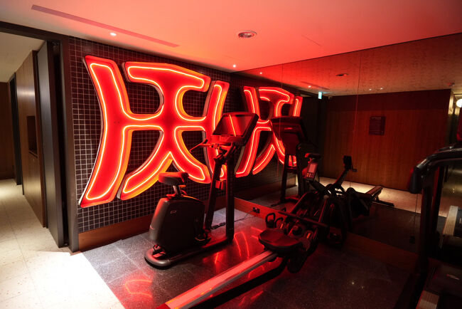 トレーニングもできるよー<br />これまた赤くて燃えますな