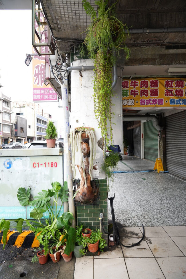 歩いているとヒカクシダ