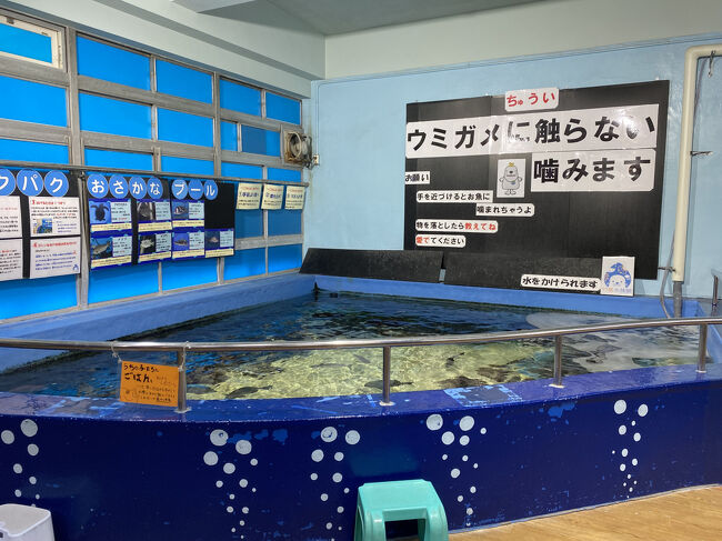 タッチプールもあります。