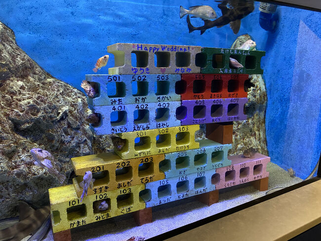 お魚の学校です。<br /><br />竹島水族館の解説プレートは手作りでとても楽しいです。<br />小さな水族館ですが、解説を見てると結構時間が経っていました。<br />