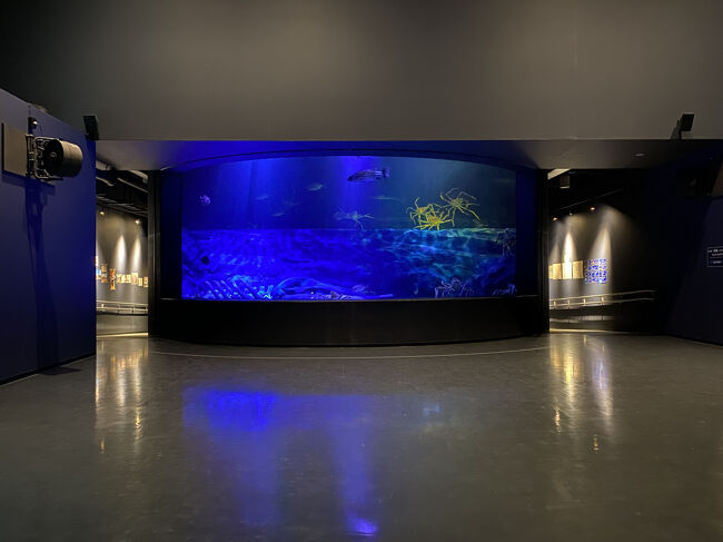 新館から入ってすぐにある、深海大水槽！<br />ライトがとても神秘的です。