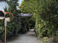 駐車場に戻りながら備瀬のフクギ並木を散策。