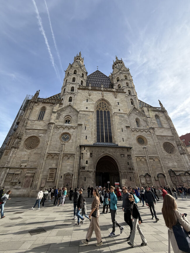 ホテルに荷物を置いて市内観光に出かけました<br />ウィーンは初めてなのでしっかり観光したかった<br />まずは歩いてシュテファン大聖堂へ