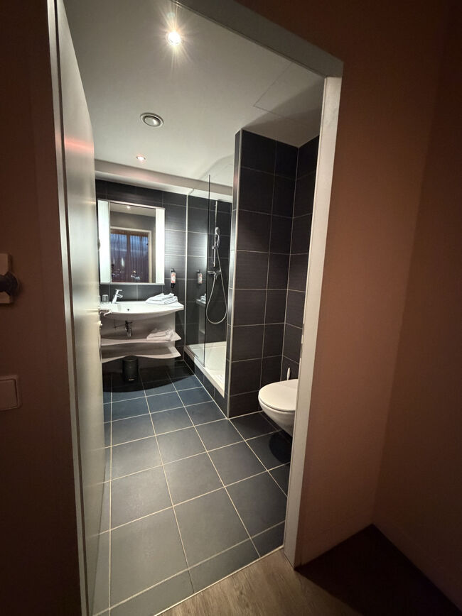 バスルームはシャワーだけですが広くて綺麗