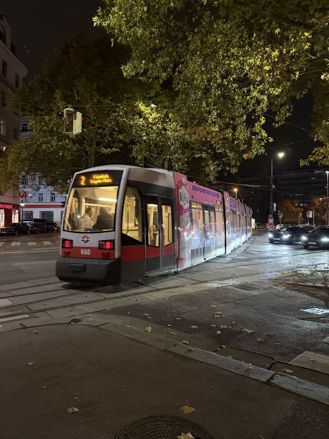 ホテルまで歩ける距離だけどウィーンシティパスがあるので路面電車で帰りました