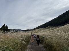 すすきに囲まれた遊歩道を歩いて、すすきを堪能しました。