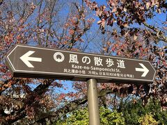 観覧後はまた風の散歩道を進み、