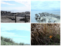 三浦半島の先端に位置する城ヶ島