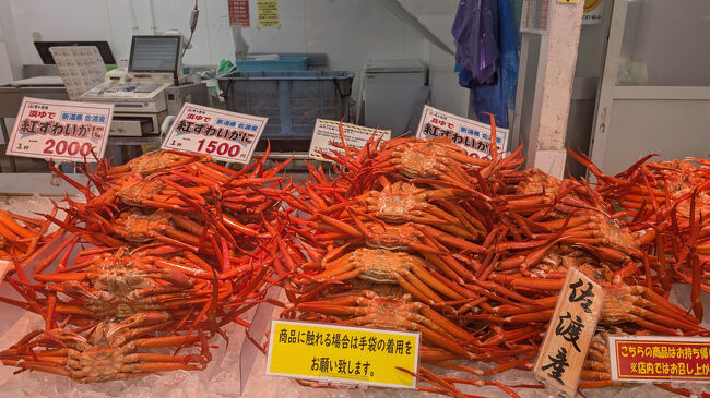 海風亭日本海ホテルから、寺泊アメ横と言う寺泊の市場までは、徒歩7分ぐらいだったので、送迎のバスを待たずに4人でぽかぽか陽気の中を、歩いて出かけました。