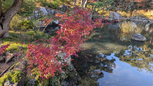 水面に映る木々もとても美しくて、なんだか心が洗われる気がしました。
