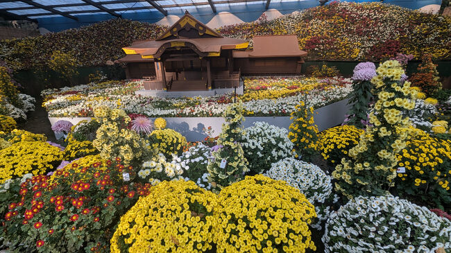 菊の花で作った弥彦神社が、圧巻でした。
